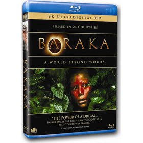 BARAKA USA IMPORT
