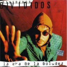LA ERA DE LA BOLUDEZ
