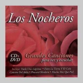 GRANDES CANCIONES PARA VER Y ESCUCHAR