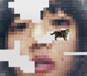 NEKO NI JEALOUSY - O.S.T. LIMITED EDITION USA IMPORT