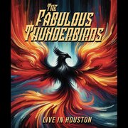 LIVE IN HOUSTON USA IMPORT