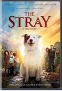 STRAY USA IMPORT